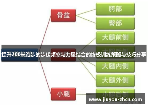 提升200米跑步的步伐频率与力量结合的终极训练策略与技巧分享